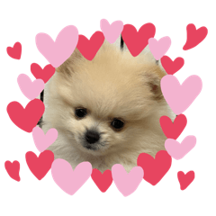 enayuda_20250930160218