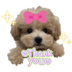 arisa_20250930161643