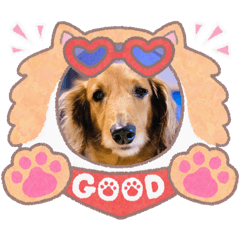 Tomomi_20250930183718