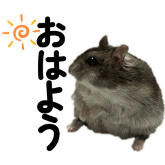 KONTARO_20250930183536