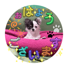 misaki_20251001003914