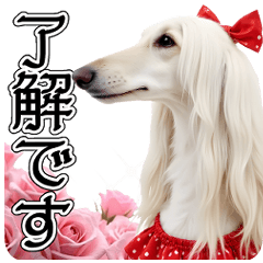 The elegant stamp of the Borzoi.