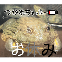 hana_20250929214210