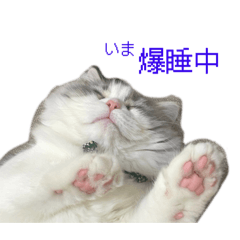 Chihiro_20250929194905