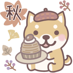 Shiba Inu "sibachan" in autumn