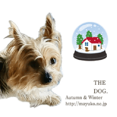 Mayuko Autumn & Winter