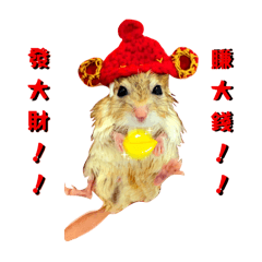 沙鼠日常用語-第二篇