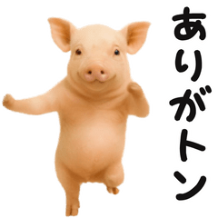 踊る！ブタ