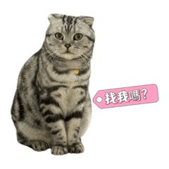 厭世豆輪第一季