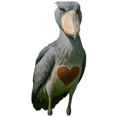 heart animal shoebill