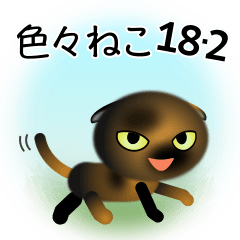 色々な猫18-2 短毛-垂れ耳-サビ