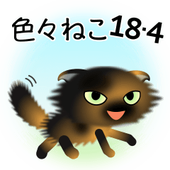 色々な猫18-4 長毛-垂れ耳-サビ
