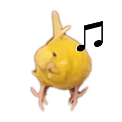 nonchan_20250927102319