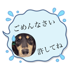 yuka_20250930212308