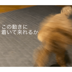 ichii_20251001102752