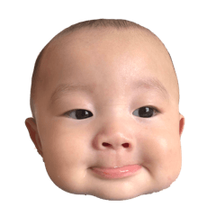 panda_20250930213448