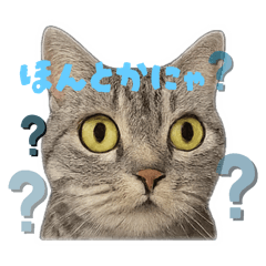 natsu_20250930225732