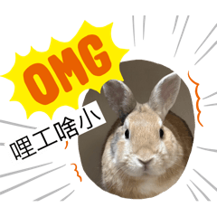 許蟲蟲的美好生活