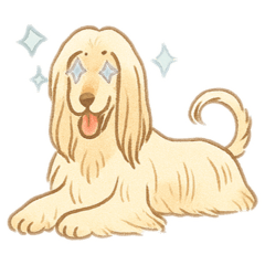 karin_20250930223426