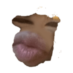 虱目魚愛情故事