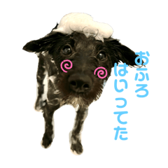 moochi_20250930234428