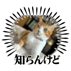 Yashinoki_20251001012707