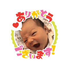 bamboo_20251001112351