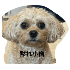 Shuwa_20251001113405