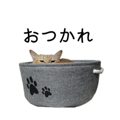 nozomi_20251001084717