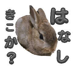 satomin_20250929231328