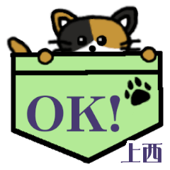 Kaminishi's Pocket Cat's