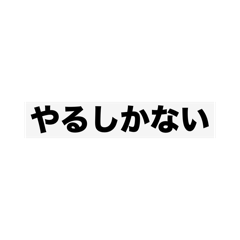 m_20250930022825