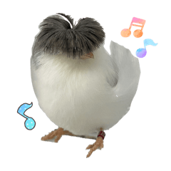 Bobby and the gangs_20250930230945