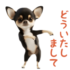 踊る！チワワ