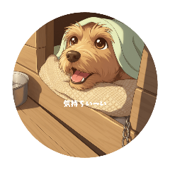 sugar_20251001112859