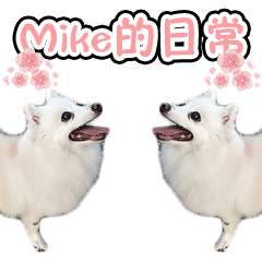 Mike的日常