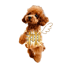 JINKO_20250930222118