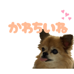 minatama_20251001123703
