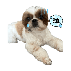 omochi_20251001130449