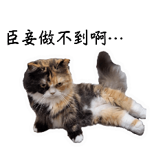 蔓的正式版（部分照片有重複）