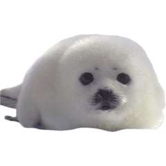 y_20250930172837