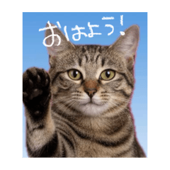 Yuzuki_20251001142121