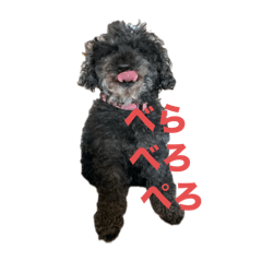 Sayuri_20250930210648