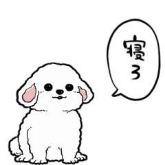 talking white fairy-like dog