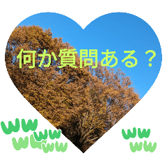 The traffic light turns red, my favorite