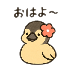 Cute fluffy Hawaiian Goose