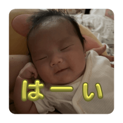 Mikan_20251001151201