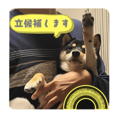 Takeru_20251001213424