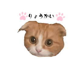 marina_20251001162337