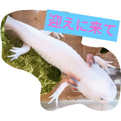 MAKOTO_20251001162702